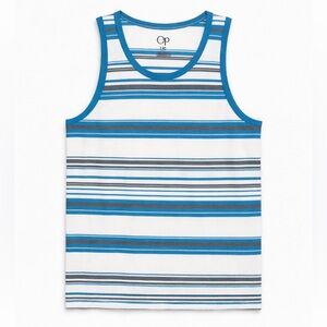 Striped Tank Top in Blue and Gray